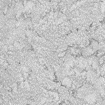 885-587-February <!DATE>